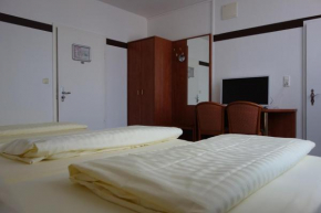 Отель Parkhotel Friedrichstrasse  Гиссен